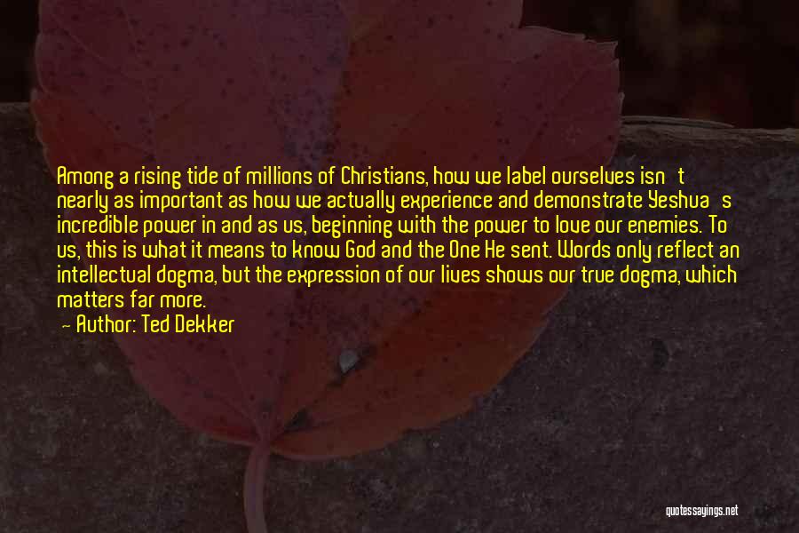 Ted Dekker Quotes: Among A Rising Tide Of Millions Of Christians, How We Label Ourselves Isn't Nearly As Important As How We Actually