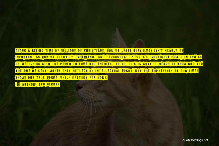 Ted Dekker Quotes: Among A Rising Tide Of Millions Of Christians, How We Label Ourselves Isn't Nearly As Important As How We Actually