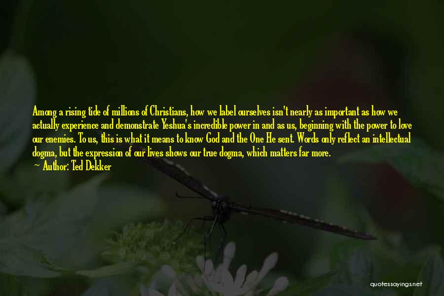 Ted Dekker Quotes: Among A Rising Tide Of Millions Of Christians, How We Label Ourselves Isn't Nearly As Important As How We Actually