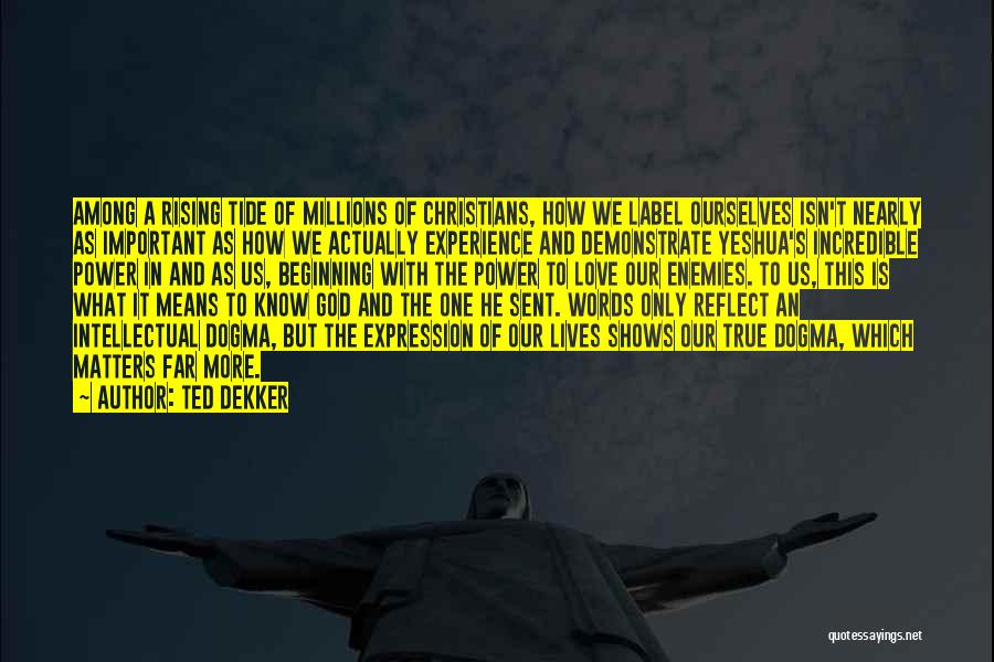 Ted Dekker Quotes: Among A Rising Tide Of Millions Of Christians, How We Label Ourselves Isn't Nearly As Important As How We Actually