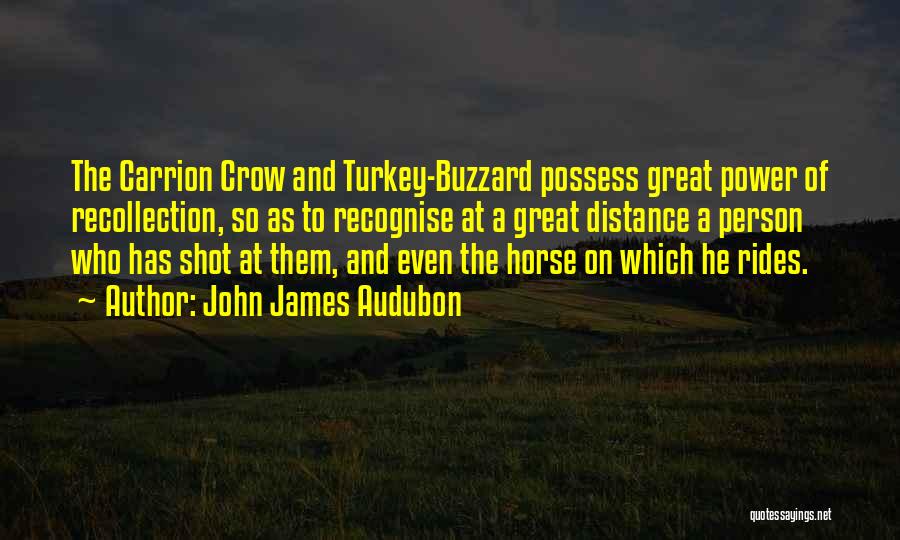 John James Audubon Quotes: The Carrion Crow And Turkey-buzzard Possess Great Power Of Recollection, So As To Recognise At A Great Distance A Person