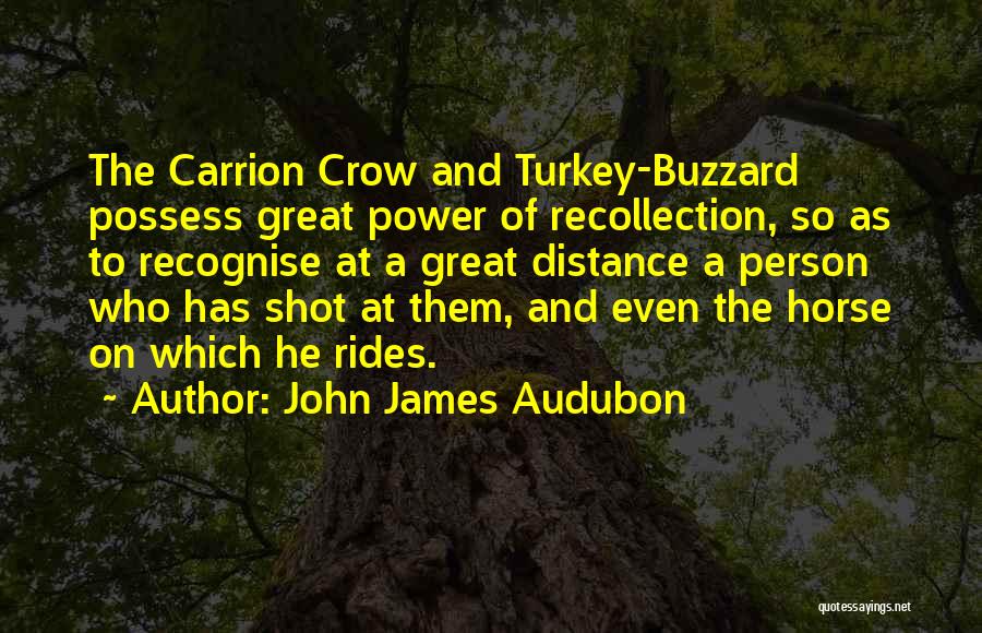 John James Audubon Quotes: The Carrion Crow And Turkey-buzzard Possess Great Power Of Recollection, So As To Recognise At A Great Distance A Person