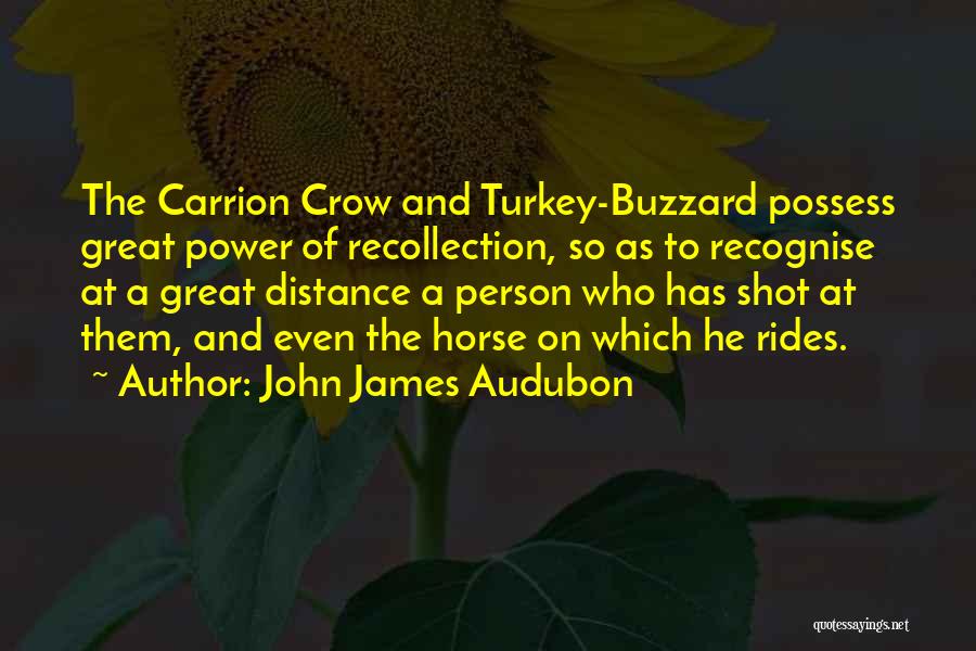 John James Audubon Quotes: The Carrion Crow And Turkey-buzzard Possess Great Power Of Recollection, So As To Recognise At A Great Distance A Person