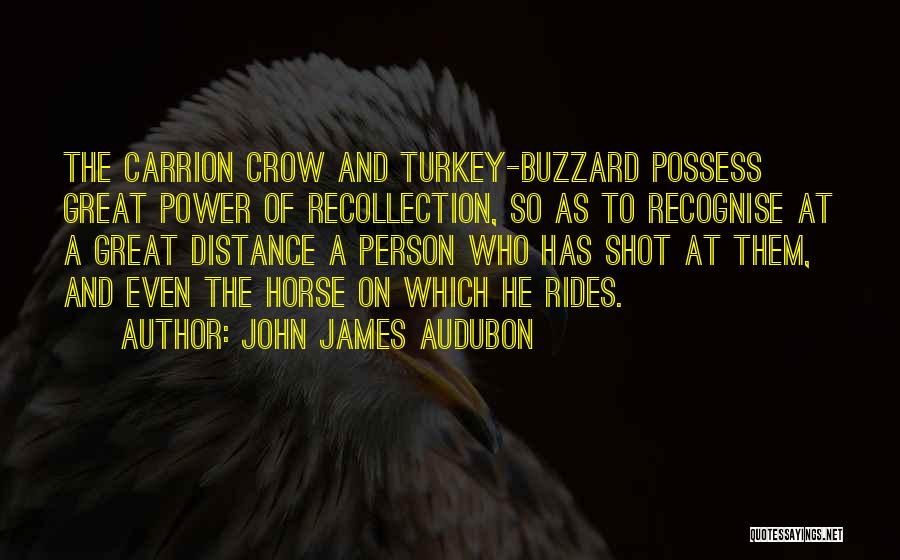 John James Audubon Quotes: The Carrion Crow And Turkey-buzzard Possess Great Power Of Recollection, So As To Recognise At A Great Distance A Person