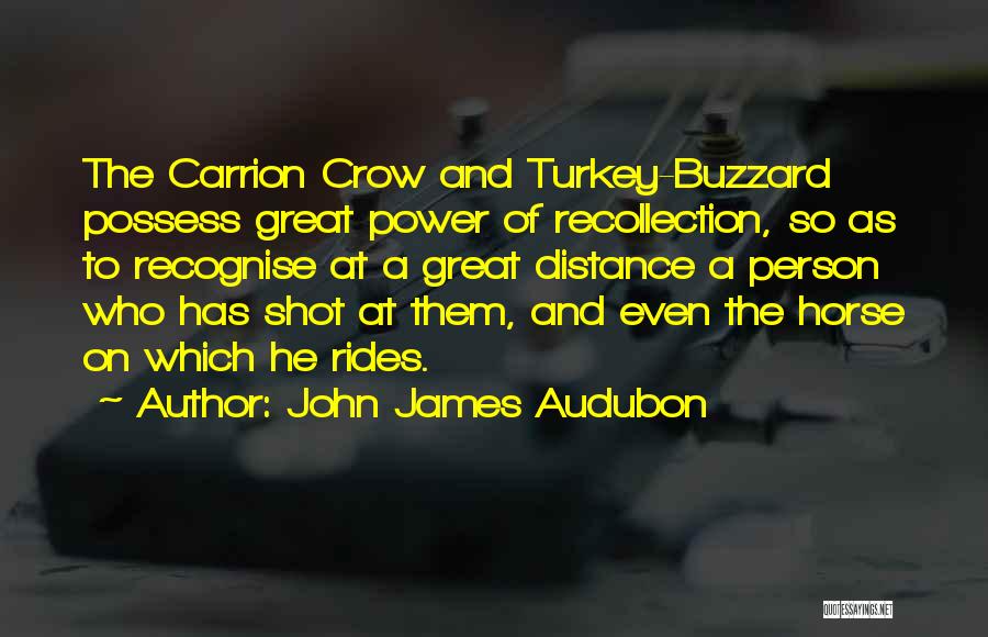 John James Audubon Quotes: The Carrion Crow And Turkey-buzzard Possess Great Power Of Recollection, So As To Recognise At A Great Distance A Person