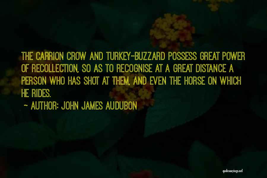 John James Audubon Quotes: The Carrion Crow And Turkey-buzzard Possess Great Power Of Recollection, So As To Recognise At A Great Distance A Person
