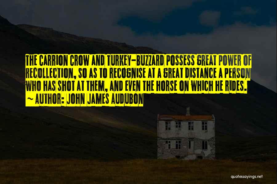 John James Audubon Quotes: The Carrion Crow And Turkey-buzzard Possess Great Power Of Recollection, So As To Recognise At A Great Distance A Person