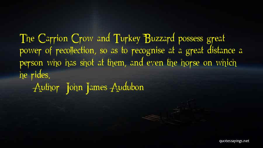 John James Audubon Quotes: The Carrion Crow And Turkey-buzzard Possess Great Power Of Recollection, So As To Recognise At A Great Distance A Person