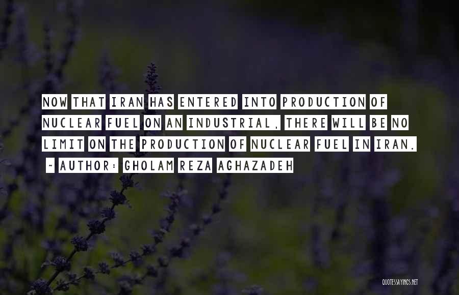 Gholam Reza Aghazadeh Quotes: Now That Iran Has Entered Into Production Of Nuclear Fuel On An Industrial, There Will Be No Limit On The