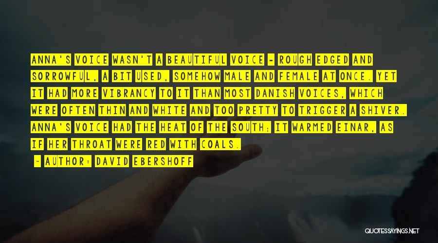David Ebershoff Quotes: Anna's Voice Wasn't A Beautiful Voice - Rough Edged And Sorrowful, A Bit Used, Somehow Male And Female At Once.