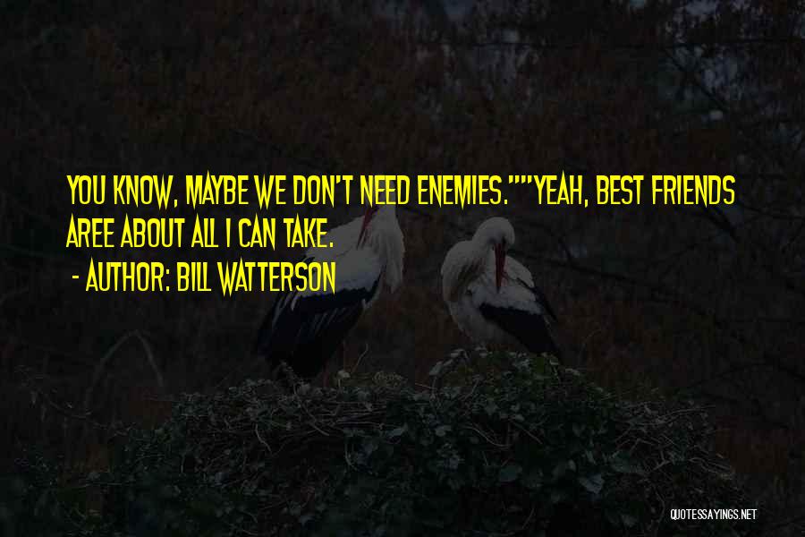 Bill Watterson Quotes: You Know, Maybe We Don't Need Enemies.yeah, Best Friends Aree About All I Can Take.