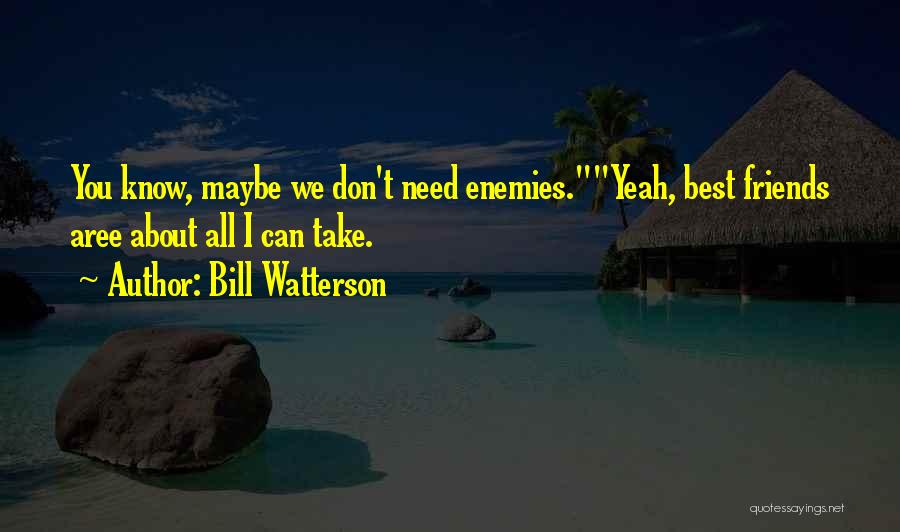 Bill Watterson Quotes: You Know, Maybe We Don't Need Enemies.yeah, Best Friends Aree About All I Can Take.