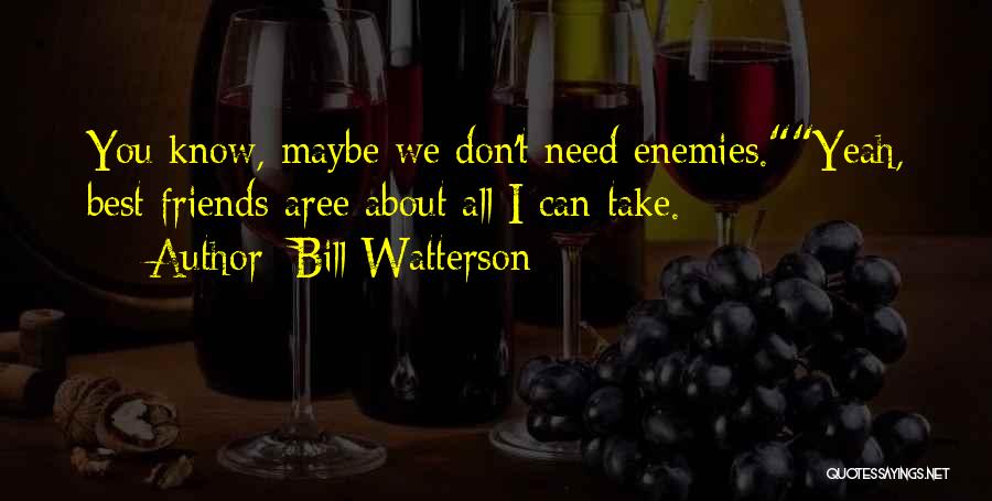 Bill Watterson Quotes: You Know, Maybe We Don't Need Enemies.yeah, Best Friends Aree About All I Can Take.