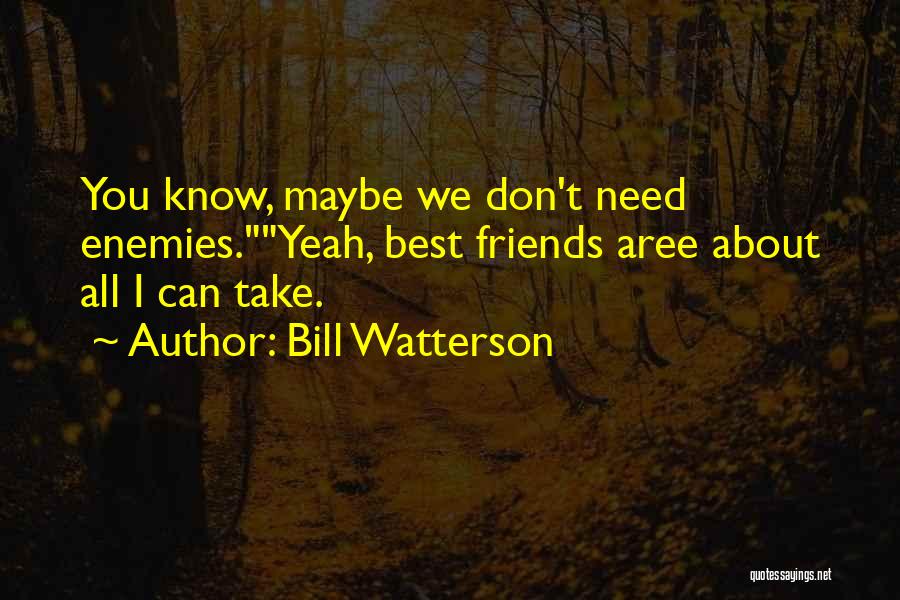 Bill Watterson Quotes: You Know, Maybe We Don't Need Enemies.yeah, Best Friends Aree About All I Can Take.