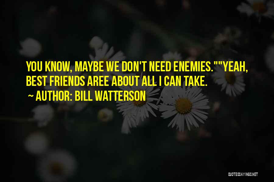 Bill Watterson Quotes: You Know, Maybe We Don't Need Enemies.yeah, Best Friends Aree About All I Can Take.