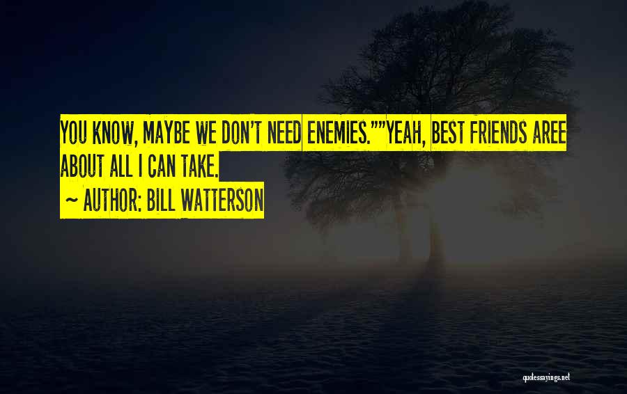 Bill Watterson Quotes: You Know, Maybe We Don't Need Enemies.yeah, Best Friends Aree About All I Can Take.