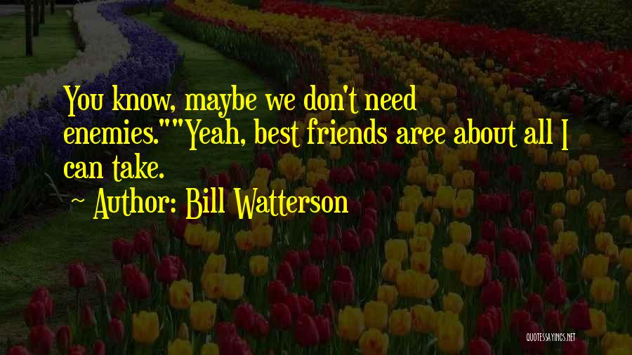 Bill Watterson Quotes: You Know, Maybe We Don't Need Enemies.yeah, Best Friends Aree About All I Can Take.