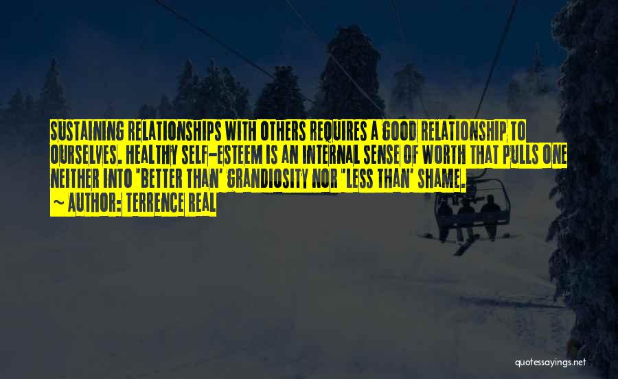 Terrence Real Quotes: Sustaining Relationships With Others Requires A Good Relationship To Ourselves. Healthy Self-esteem Is An Internal Sense Of Worth That Pulls
