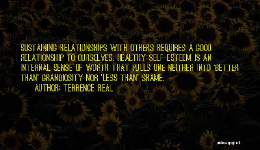 Terrence Real Quotes: Sustaining Relationships With Others Requires A Good Relationship To Ourselves. Healthy Self-esteem Is An Internal Sense Of Worth That Pulls