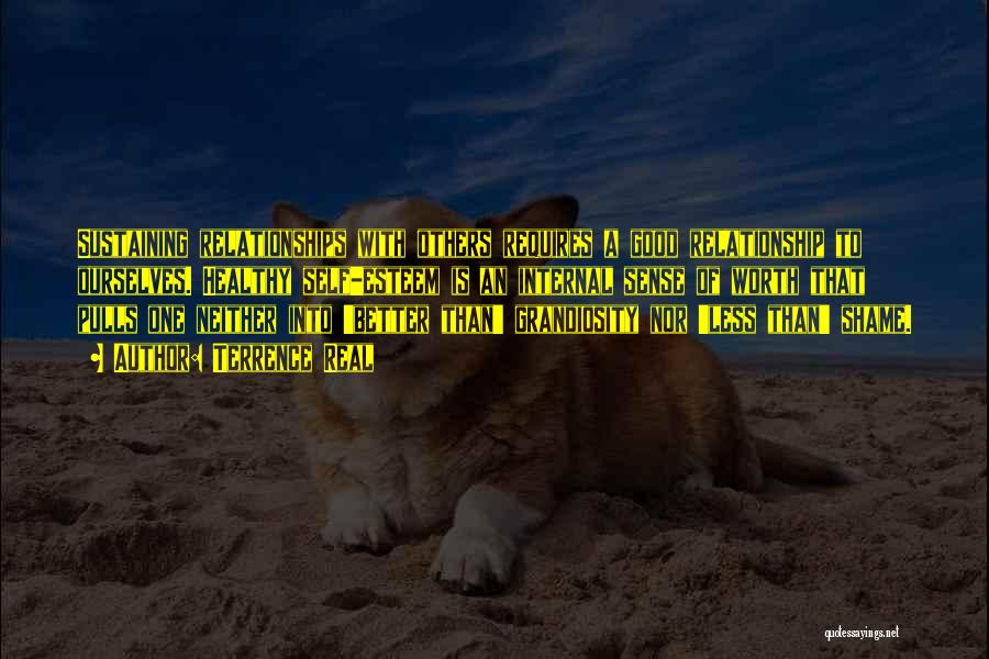 Terrence Real Quotes: Sustaining Relationships With Others Requires A Good Relationship To Ourselves. Healthy Self-esteem Is An Internal Sense Of Worth That Pulls