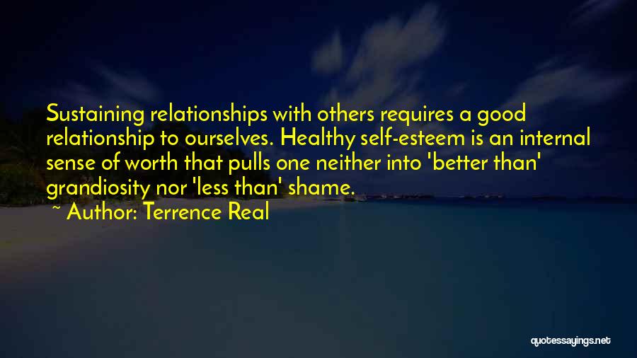 Terrence Real Quotes: Sustaining Relationships With Others Requires A Good Relationship To Ourselves. Healthy Self-esteem Is An Internal Sense Of Worth That Pulls