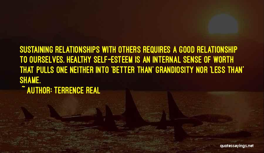 Terrence Real Quotes: Sustaining Relationships With Others Requires A Good Relationship To Ourselves. Healthy Self-esteem Is An Internal Sense Of Worth That Pulls