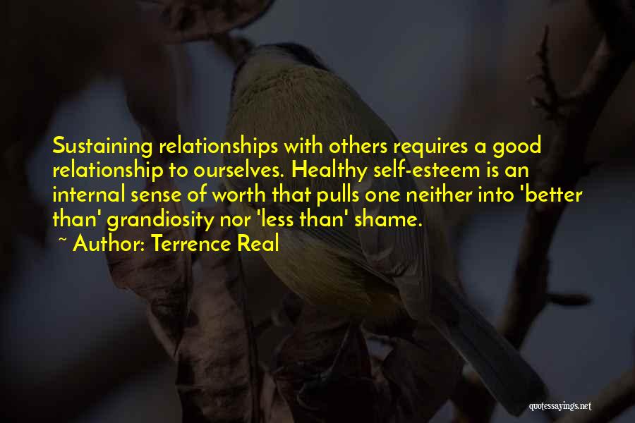 Terrence Real Quotes: Sustaining Relationships With Others Requires A Good Relationship To Ourselves. Healthy Self-esteem Is An Internal Sense Of Worth That Pulls