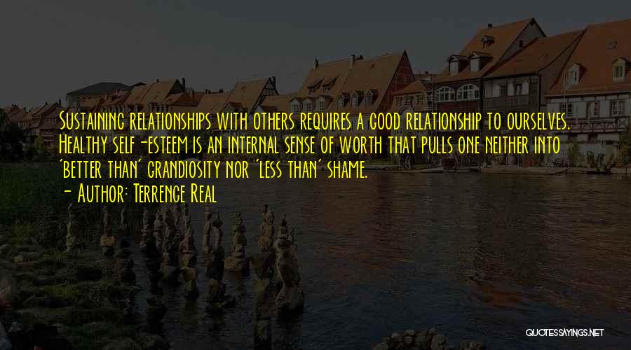 Terrence Real Quotes: Sustaining Relationships With Others Requires A Good Relationship To Ourselves. Healthy Self-esteem Is An Internal Sense Of Worth That Pulls