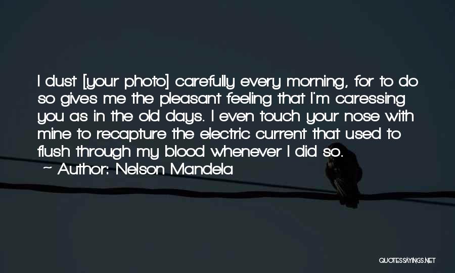 Nelson Mandela Quotes: I Dust [your Photo] Carefully Every Morning, For To Do So Gives Me The Pleasant Feeling That I'm Caressing You