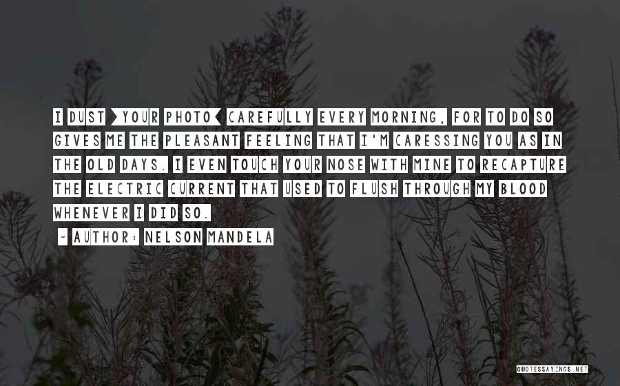 Nelson Mandela Quotes: I Dust [your Photo] Carefully Every Morning, For To Do So Gives Me The Pleasant Feeling That I'm Caressing You