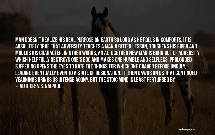 V.S. Naipaul Quotes: Man Doesn't Realize His Real Purpose On Earth So Long As He Rolls In Comforts. It Is Absolutely True That