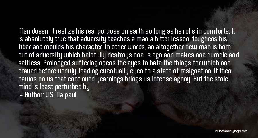 V.S. Naipaul Quotes: Man Doesn't Realize His Real Purpose On Earth So Long As He Rolls In Comforts. It Is Absolutely True That