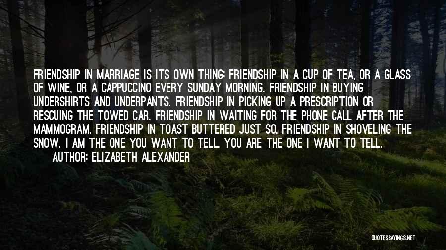 Elizabeth Alexander Quotes: Friendship In Marriage Is Its Own Thing: Friendship In A Cup Of Tea, Or A Glass Of Wine, Or A