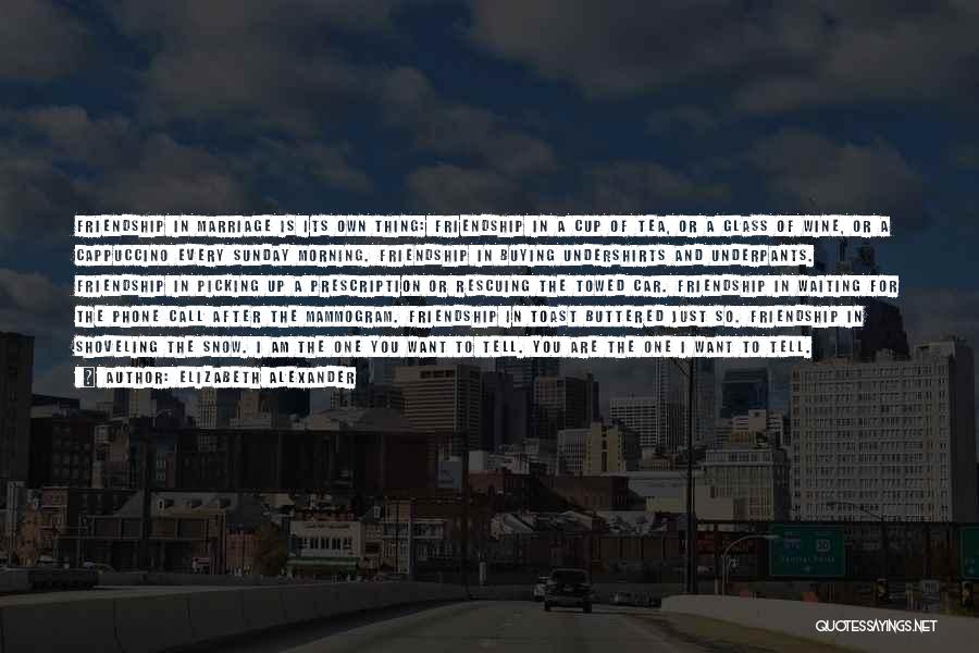 Elizabeth Alexander Quotes: Friendship In Marriage Is Its Own Thing: Friendship In A Cup Of Tea, Or A Glass Of Wine, Or A