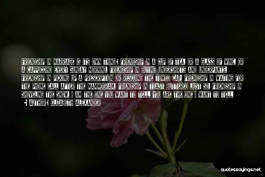 Elizabeth Alexander Quotes: Friendship In Marriage Is Its Own Thing: Friendship In A Cup Of Tea, Or A Glass Of Wine, Or A