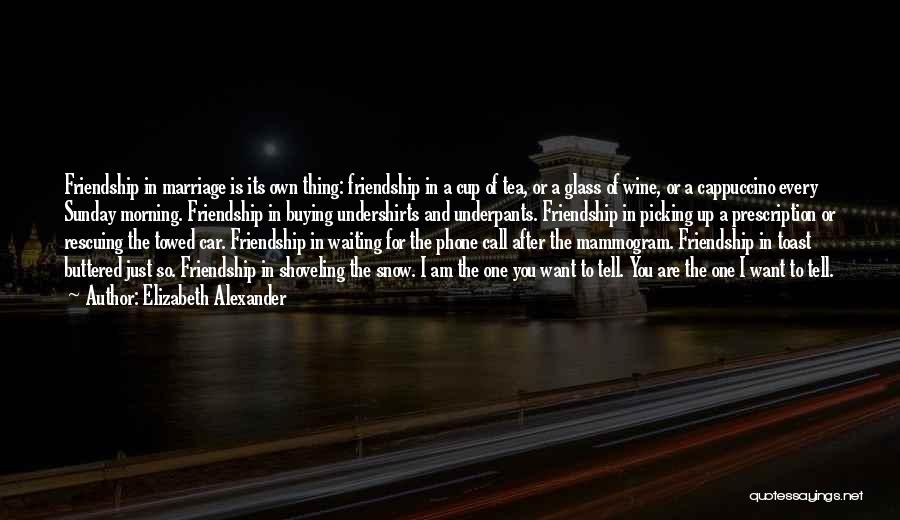 Elizabeth Alexander Quotes: Friendship In Marriage Is Its Own Thing: Friendship In A Cup Of Tea, Or A Glass Of Wine, Or A