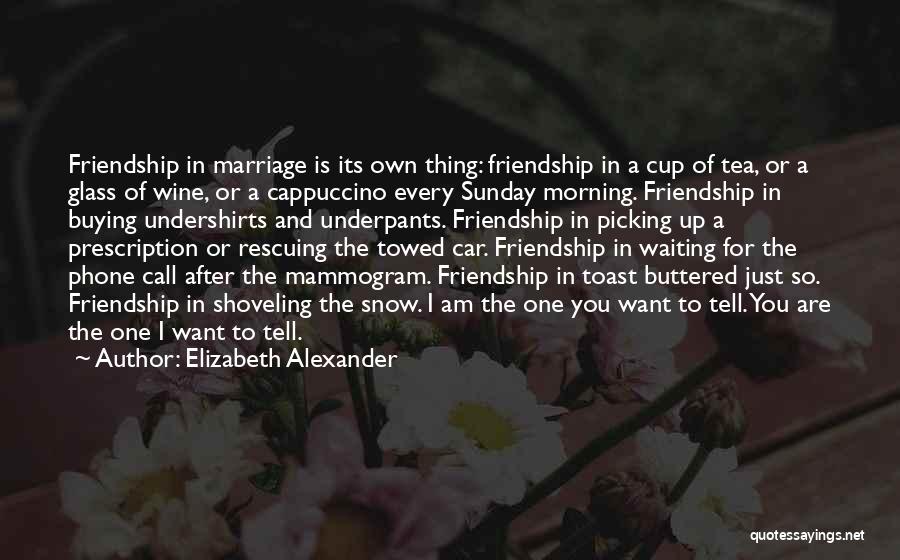 Elizabeth Alexander Quotes: Friendship In Marriage Is Its Own Thing: Friendship In A Cup Of Tea, Or A Glass Of Wine, Or A