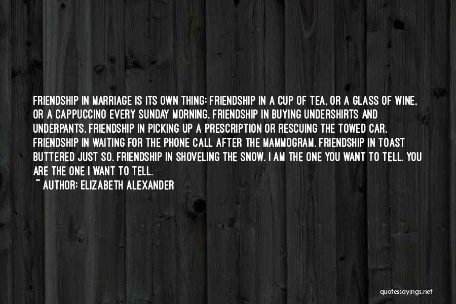 Elizabeth Alexander Quotes: Friendship In Marriage Is Its Own Thing: Friendship In A Cup Of Tea, Or A Glass Of Wine, Or A