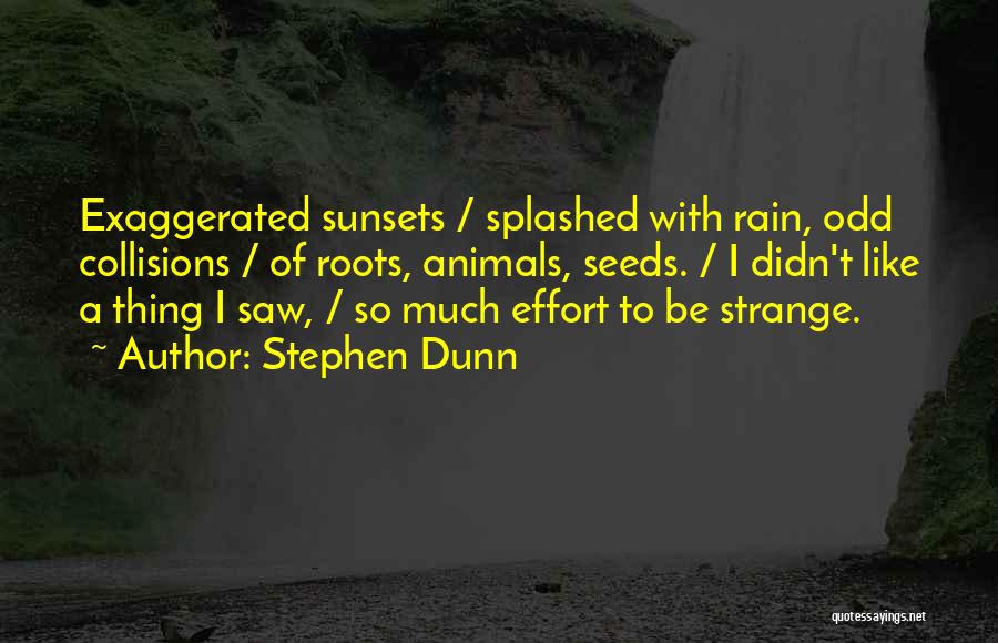 Stephen Dunn Quotes: Exaggerated Sunsets / Splashed With Rain, Odd Collisions / Of Roots, Animals, Seeds. / I Didn't Like A Thing I