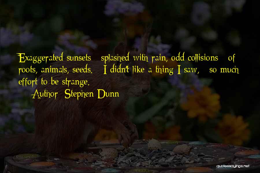 Stephen Dunn Quotes: Exaggerated Sunsets / Splashed With Rain, Odd Collisions / Of Roots, Animals, Seeds. / I Didn't Like A Thing I