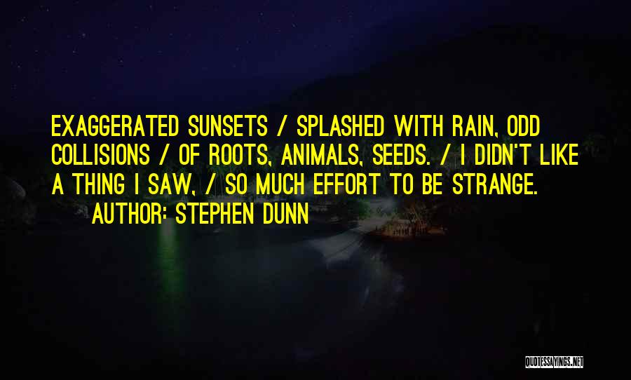 Stephen Dunn Quotes: Exaggerated Sunsets / Splashed With Rain, Odd Collisions / Of Roots, Animals, Seeds. / I Didn't Like A Thing I