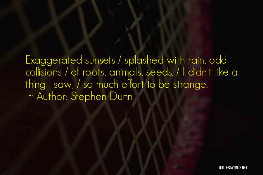 Stephen Dunn Quotes: Exaggerated Sunsets / Splashed With Rain, Odd Collisions / Of Roots, Animals, Seeds. / I Didn't Like A Thing I