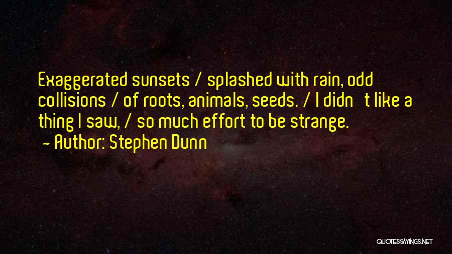 Stephen Dunn Quotes: Exaggerated Sunsets / Splashed With Rain, Odd Collisions / Of Roots, Animals, Seeds. / I Didn't Like A Thing I