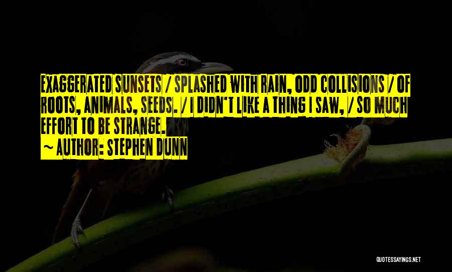 Stephen Dunn Quotes: Exaggerated Sunsets / Splashed With Rain, Odd Collisions / Of Roots, Animals, Seeds. / I Didn't Like A Thing I