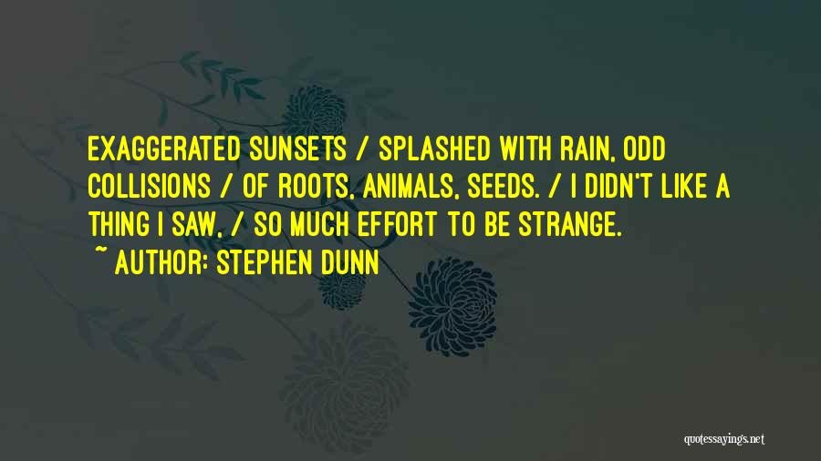 Stephen Dunn Quotes: Exaggerated Sunsets / Splashed With Rain, Odd Collisions / Of Roots, Animals, Seeds. / I Didn't Like A Thing I