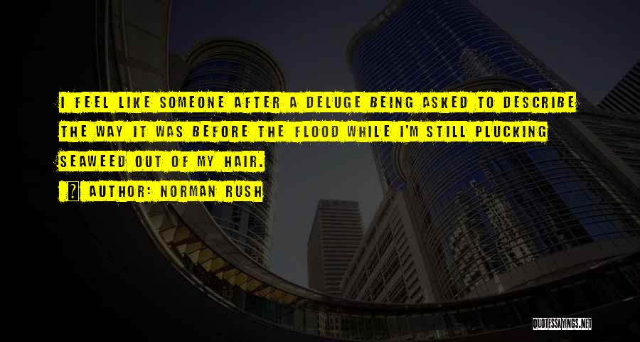 Norman Rush Quotes: I Feel Like Someone After A Deluge Being Asked To Describe The Way It Was Before The Flood While I'm