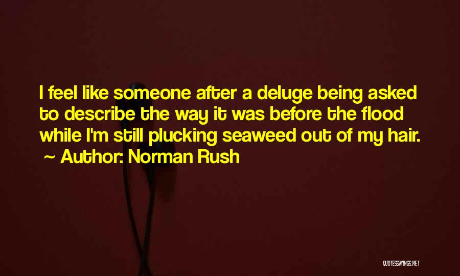 Norman Rush Quotes: I Feel Like Someone After A Deluge Being Asked To Describe The Way It Was Before The Flood While I'm