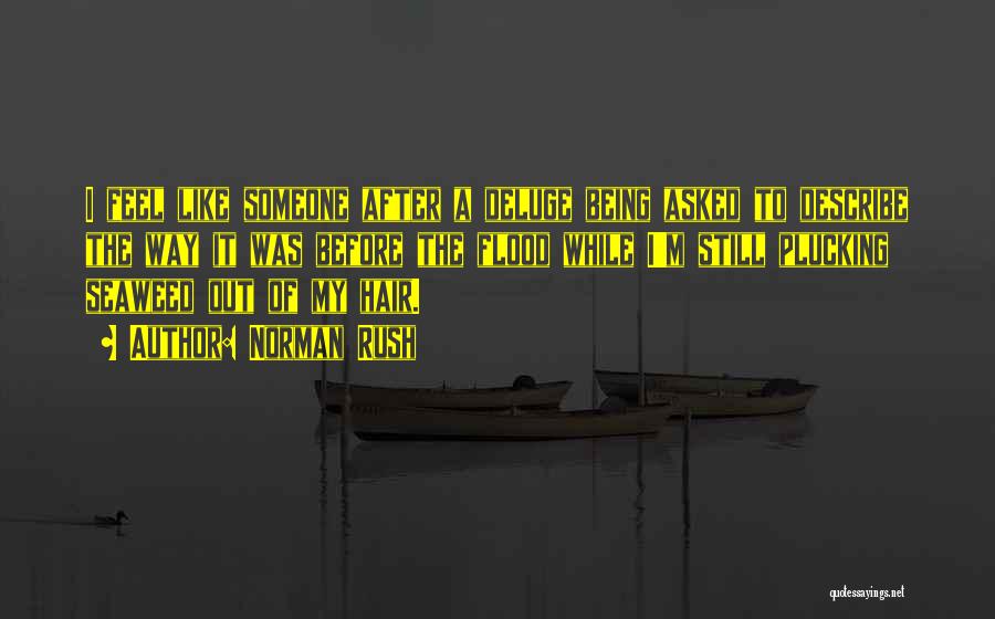 Norman Rush Quotes: I Feel Like Someone After A Deluge Being Asked To Describe The Way It Was Before The Flood While I'm