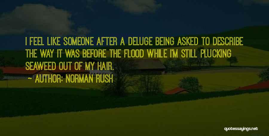 Norman Rush Quotes: I Feel Like Someone After A Deluge Being Asked To Describe The Way It Was Before The Flood While I'm