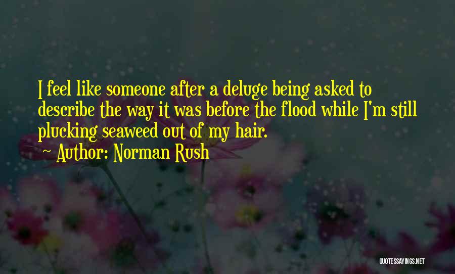 Norman Rush Quotes: I Feel Like Someone After A Deluge Being Asked To Describe The Way It Was Before The Flood While I'm